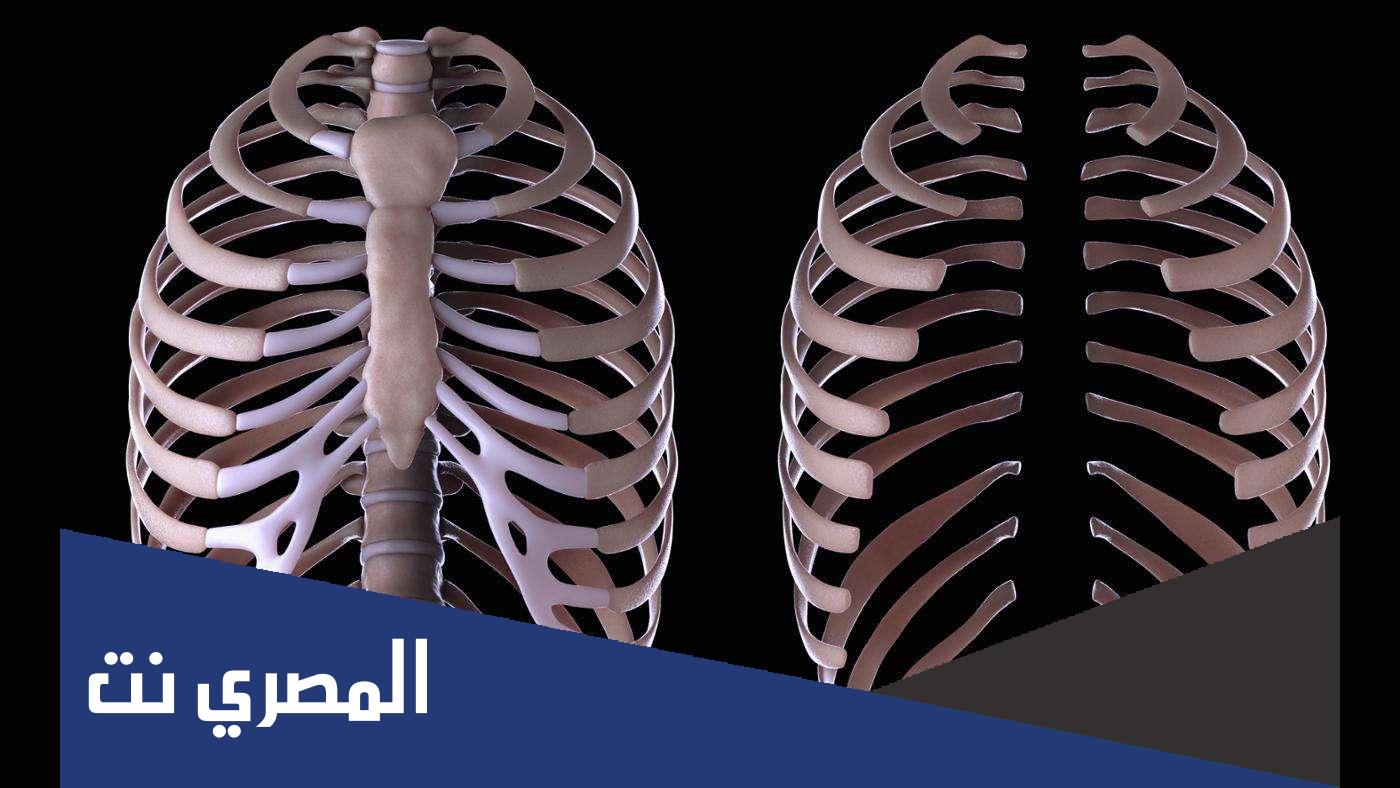 لماذا سمي القفص الصدري بهذا الاسم