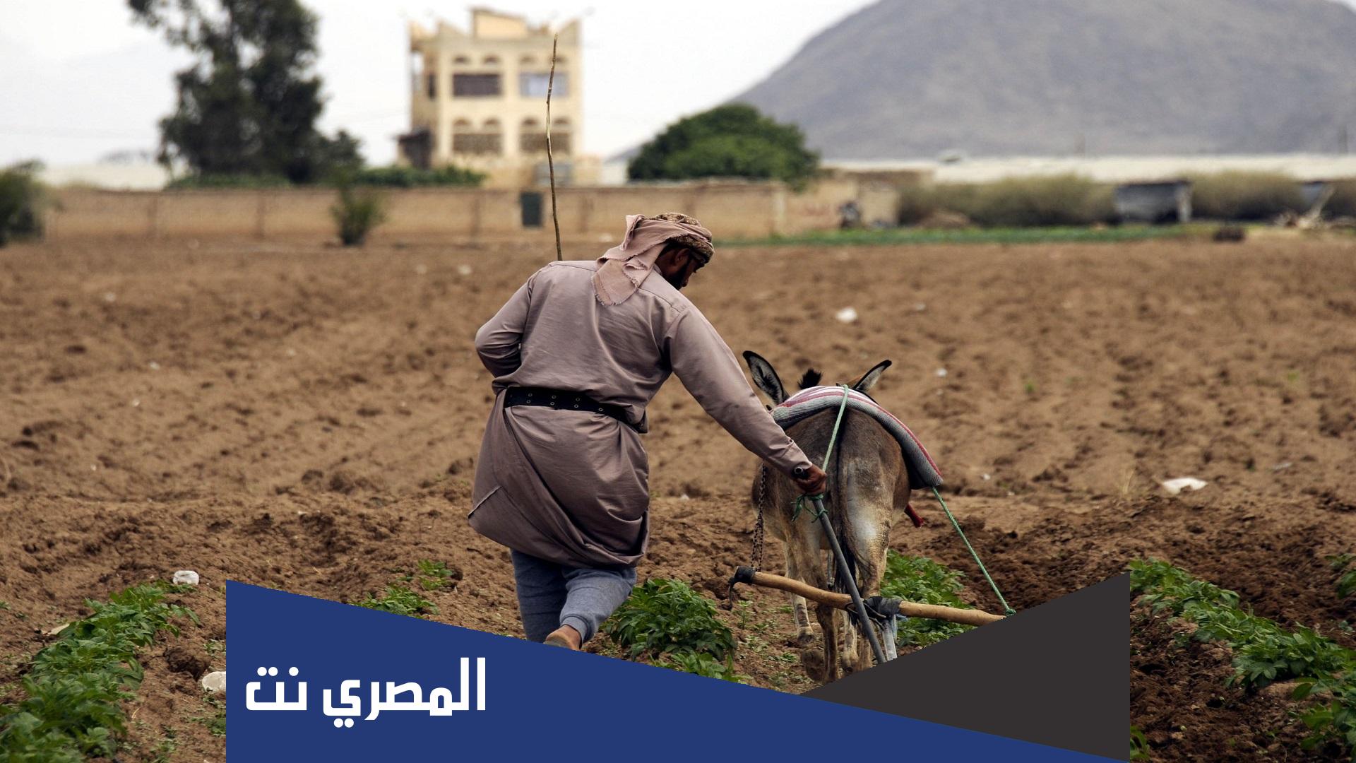 ما هي الزراعة التي اشتهرت بها اليمن ما هي الزراعة التي اشتهرت بها اليمن