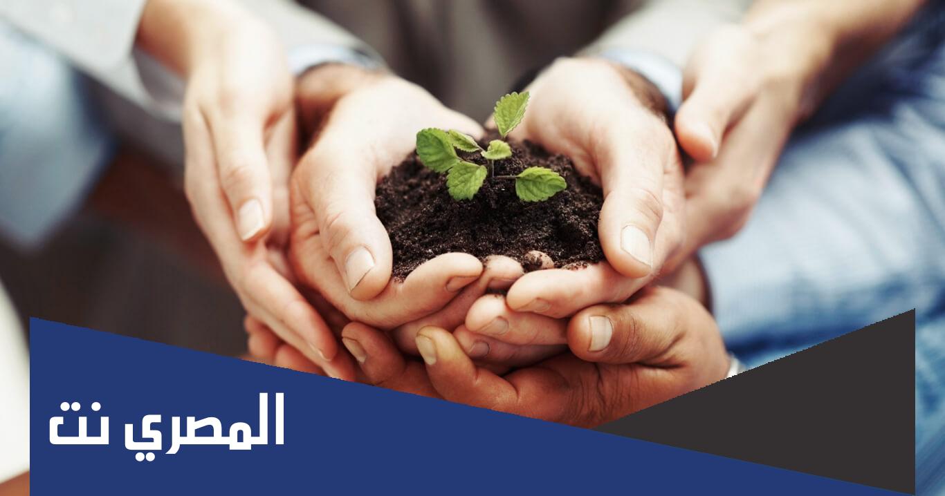 ما هي شروط تحقيق المواطنة