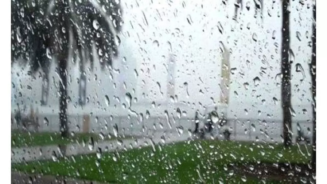 ماهو موسم الشبط