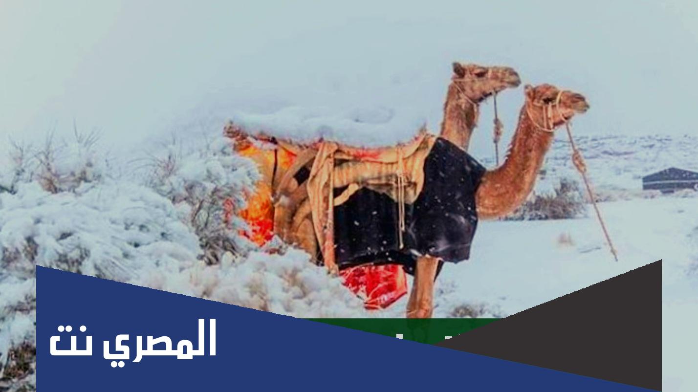 متى ينتهي فصل الشتاء في السعودية