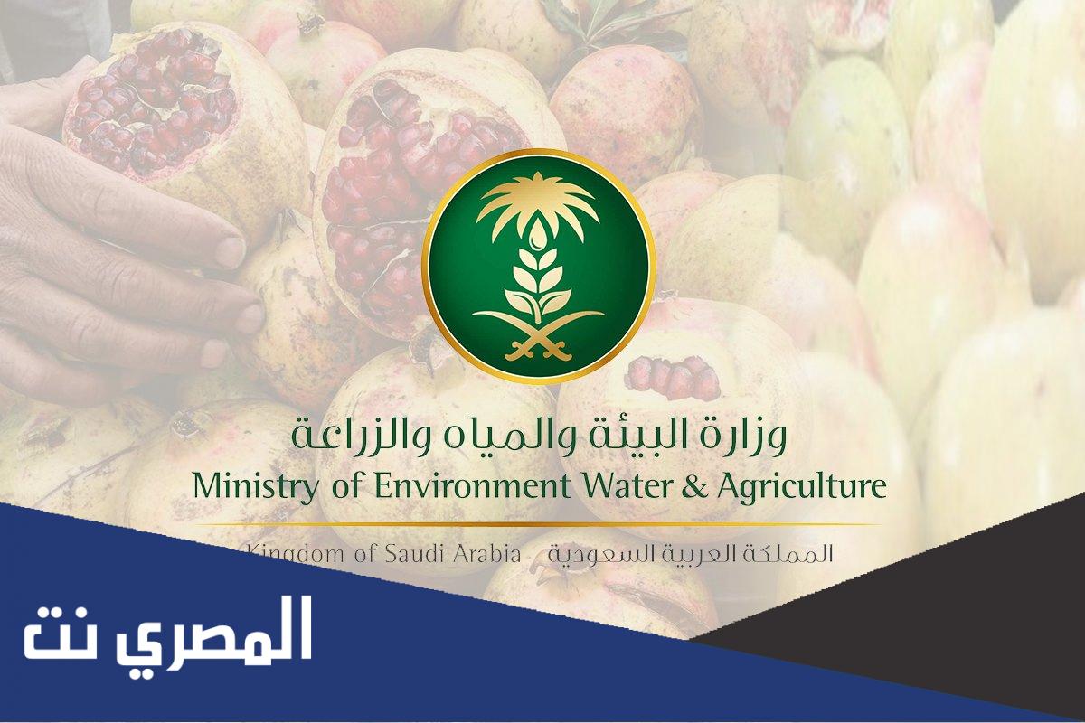 متى ينزل الدعم الزراعي هذا الشهر