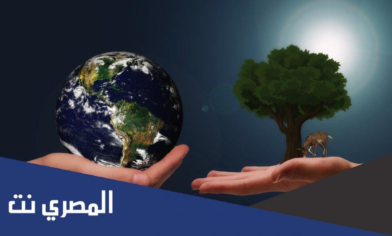 من ابتكر عبارة علم البيئة