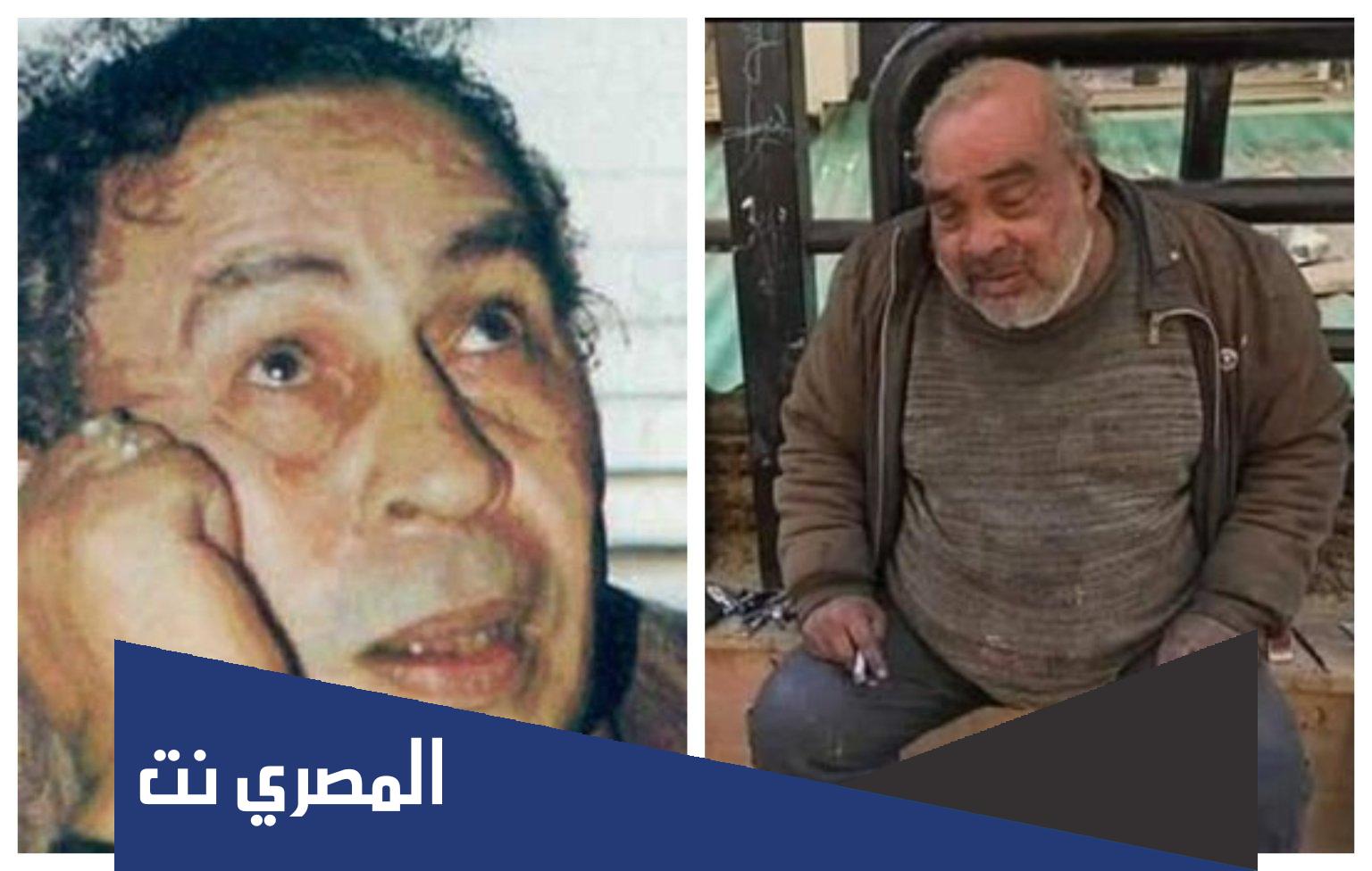 من هو الفنان شوقي عبد الحكيم ويكيبيديا