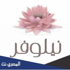 (نيلوفر