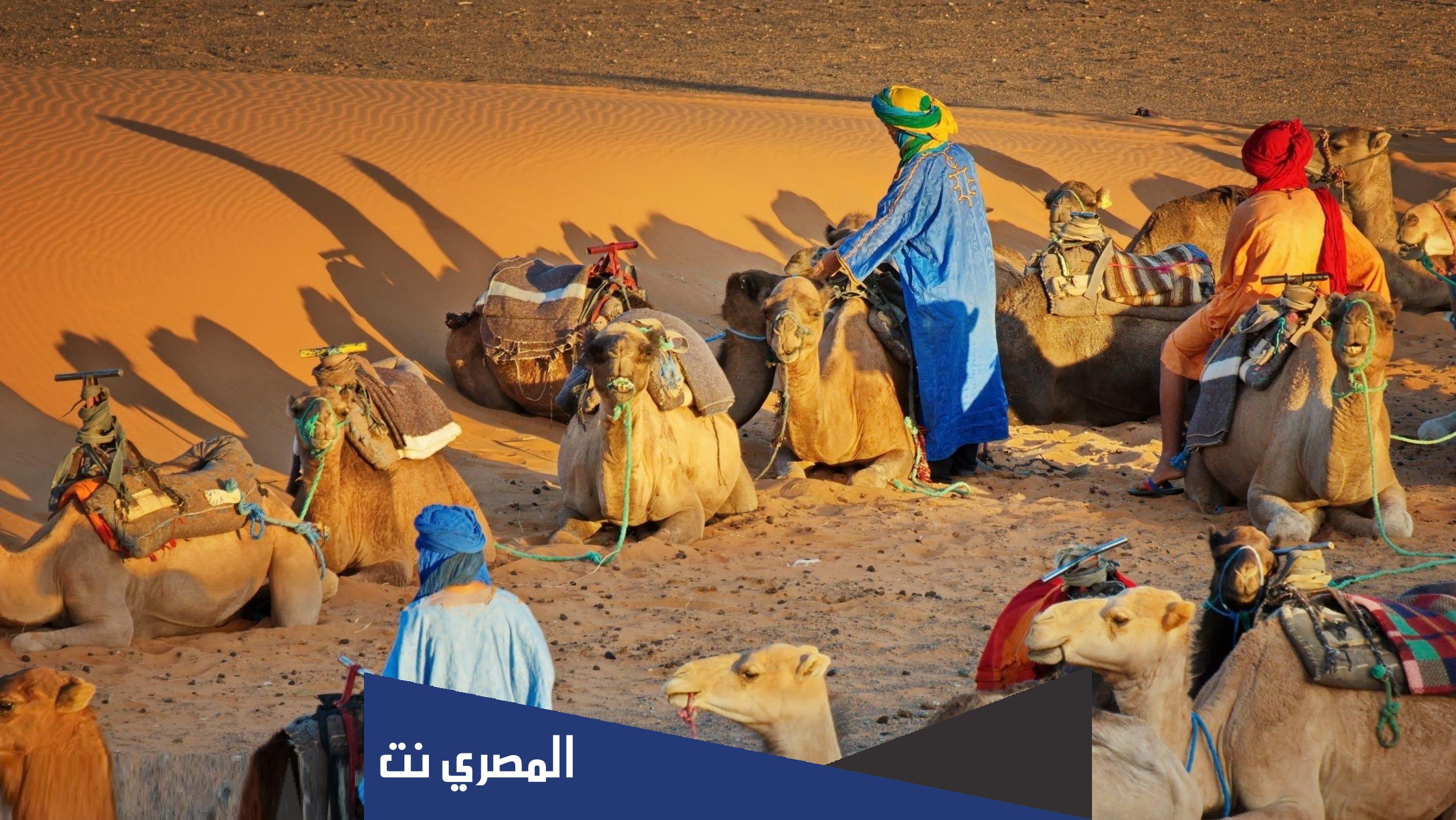 هل الدبوس يرجع مطيري ؟