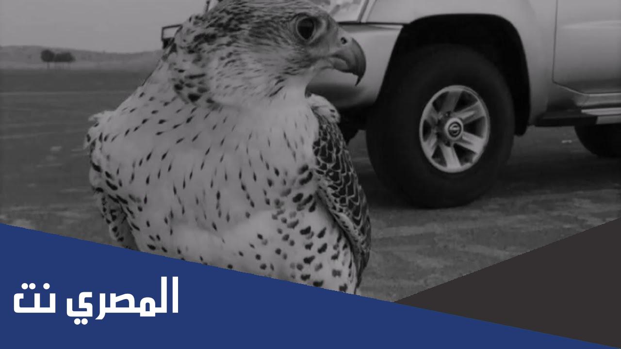 هود ياهل الهود يالدين العود كلمات