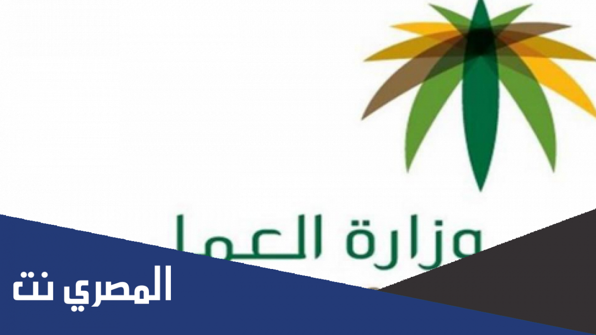 الاستعلام عن نطاق المؤسسة