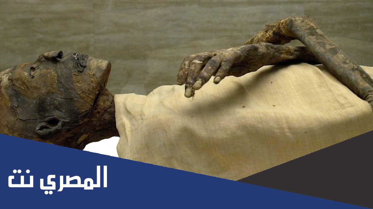 من هو وزير فرعون