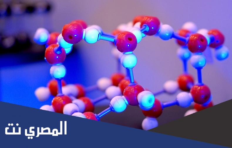 كيف تحصل على الاحماض الأمينية الأساسية