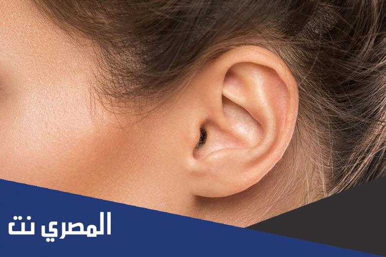 ماهو العضو الذي لا ينمو منذ الولادة