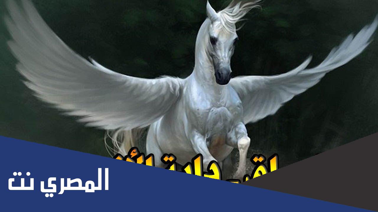 ما اسم الدابة التي ركبها الرسول ليلة الاسراء