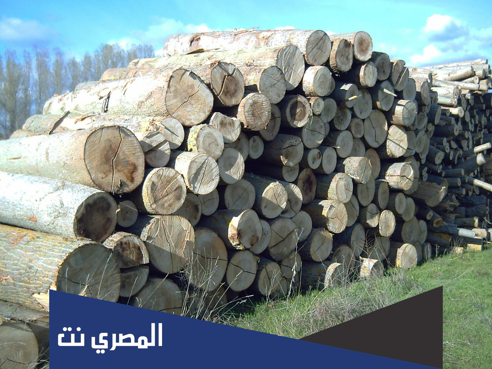 لماذا يعتبر الخشب من الايتام