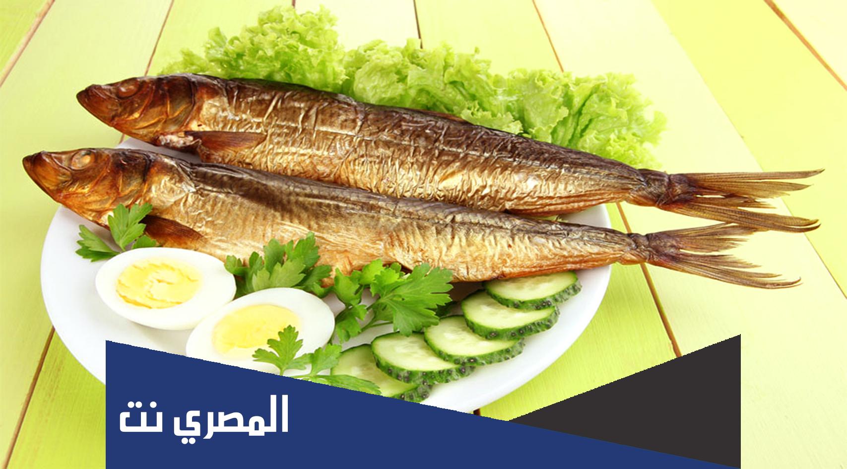 اضرار وفوائد الرنجة