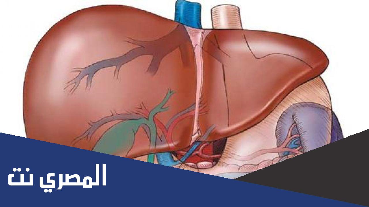 اعراض خلل وظائف الكبد