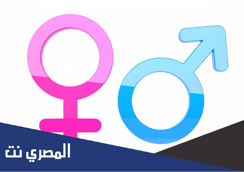 الجي سبوت اين تقع