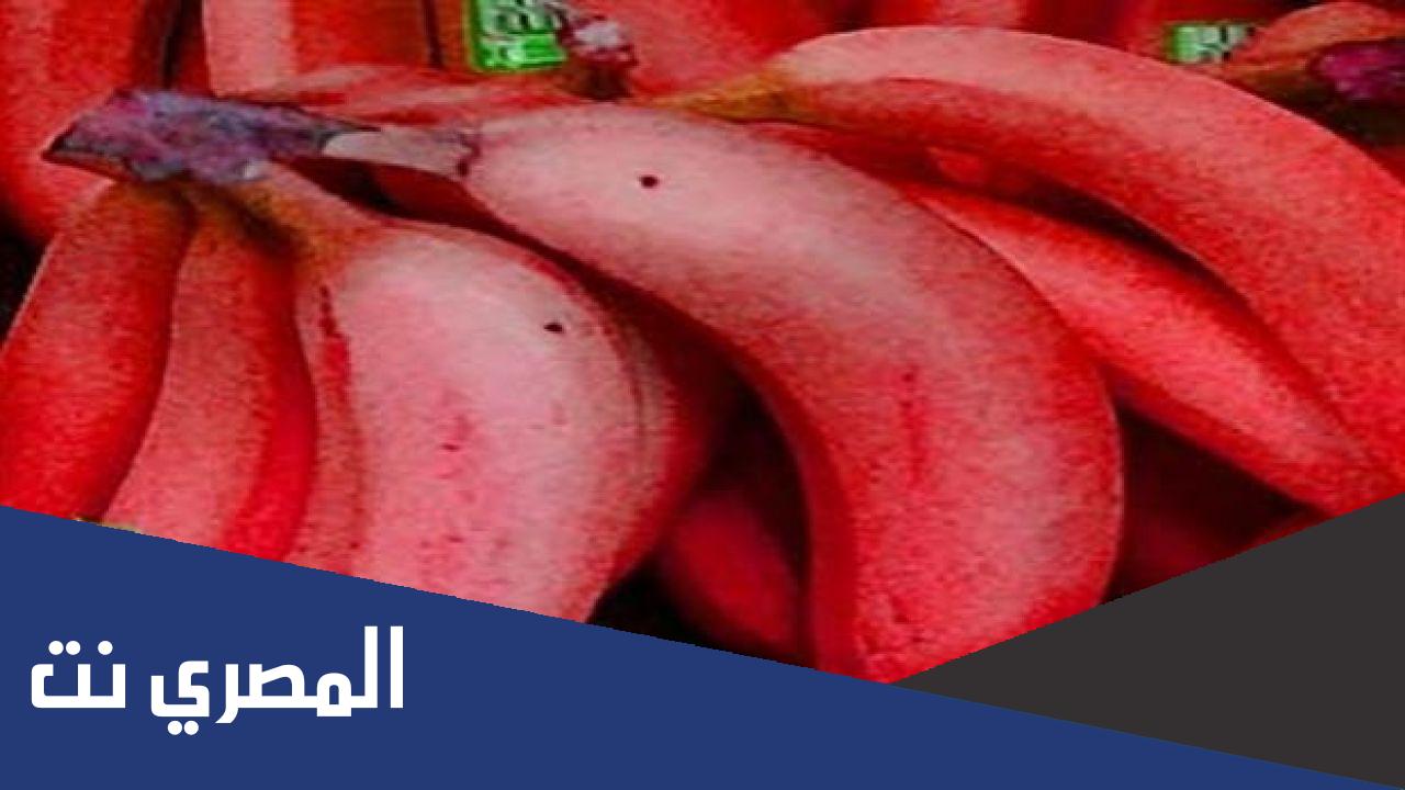 الموز الاحمر وفوائده