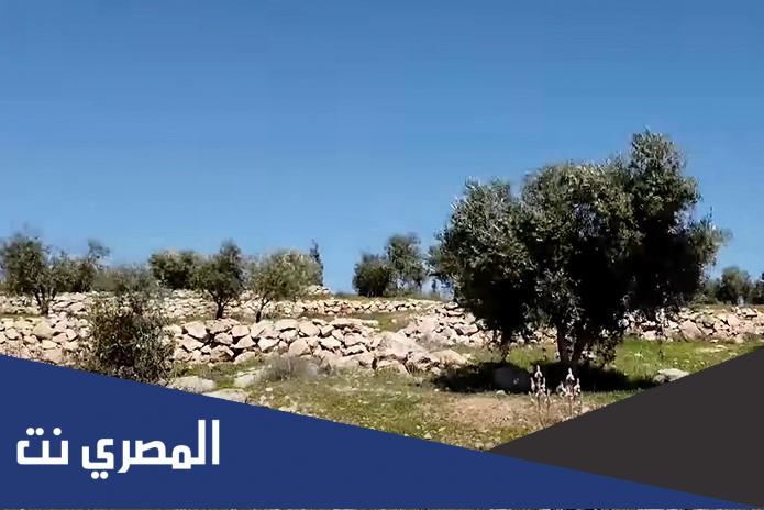 اين تقع ام الكروم