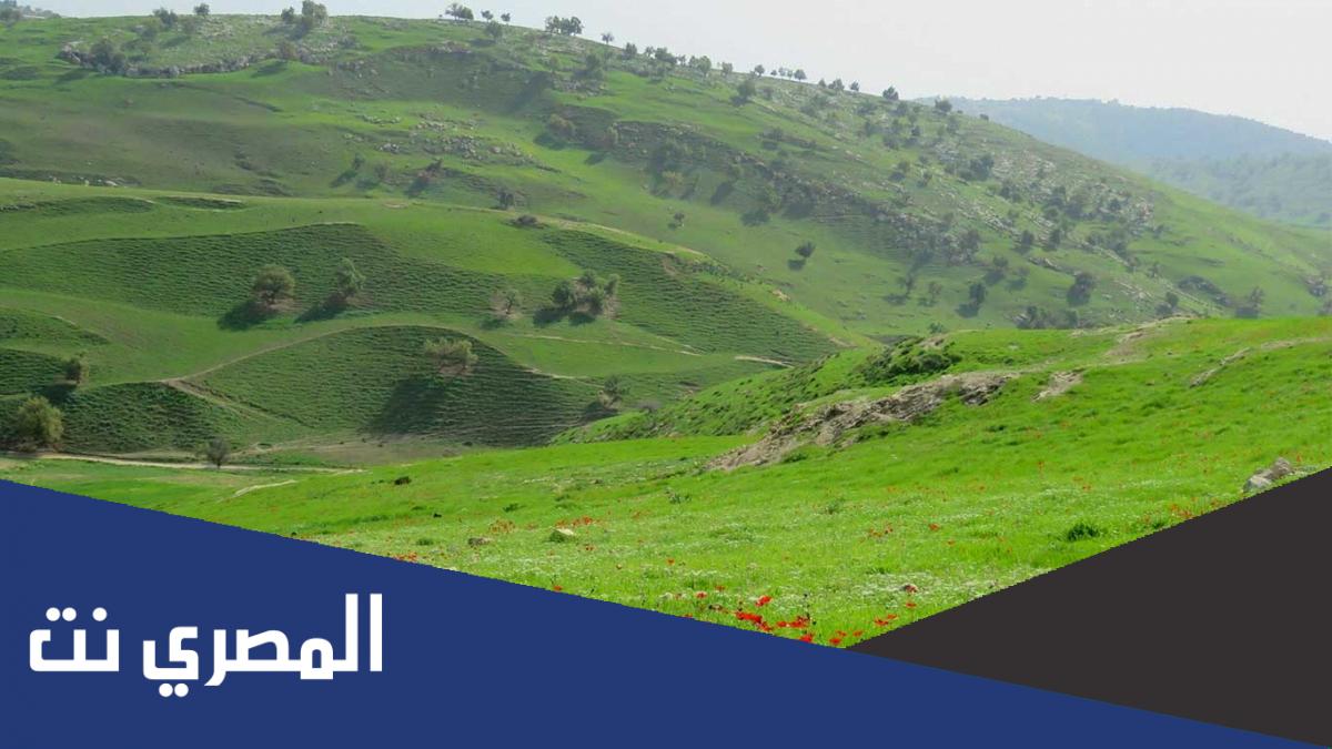 اين تقع منطقة ام النمل في الأردن