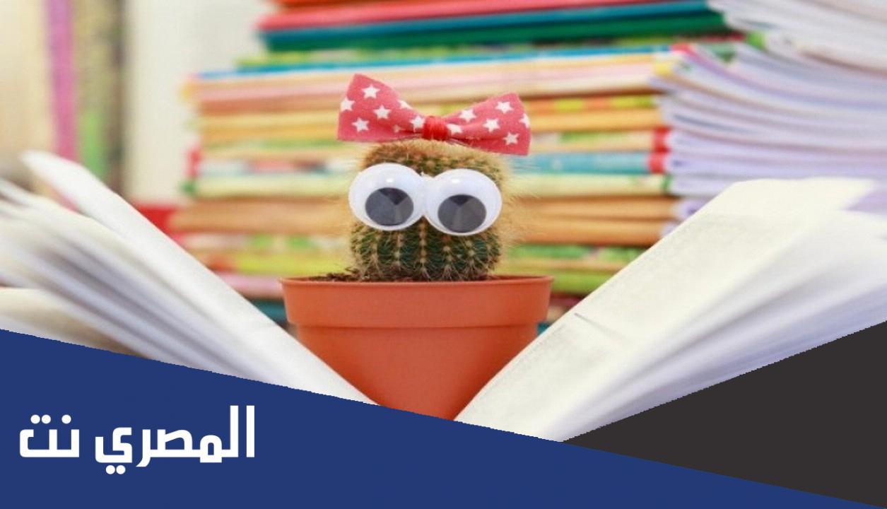 تحميل كتاب ذاتك من ابسط حقوقك pdf