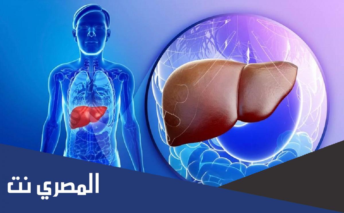 تضخم الكبد هل هو مرض خطير