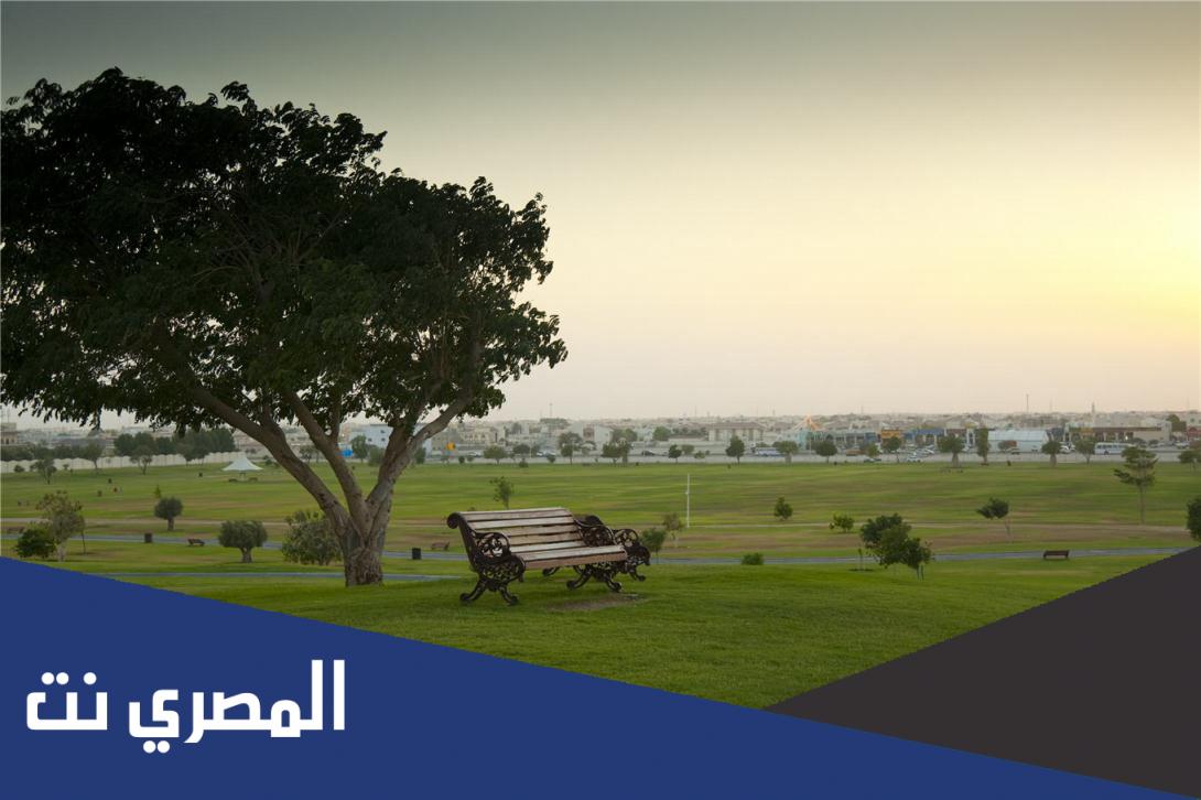 لماذا ينصح بزيادة المساحات الخضراء في المدن