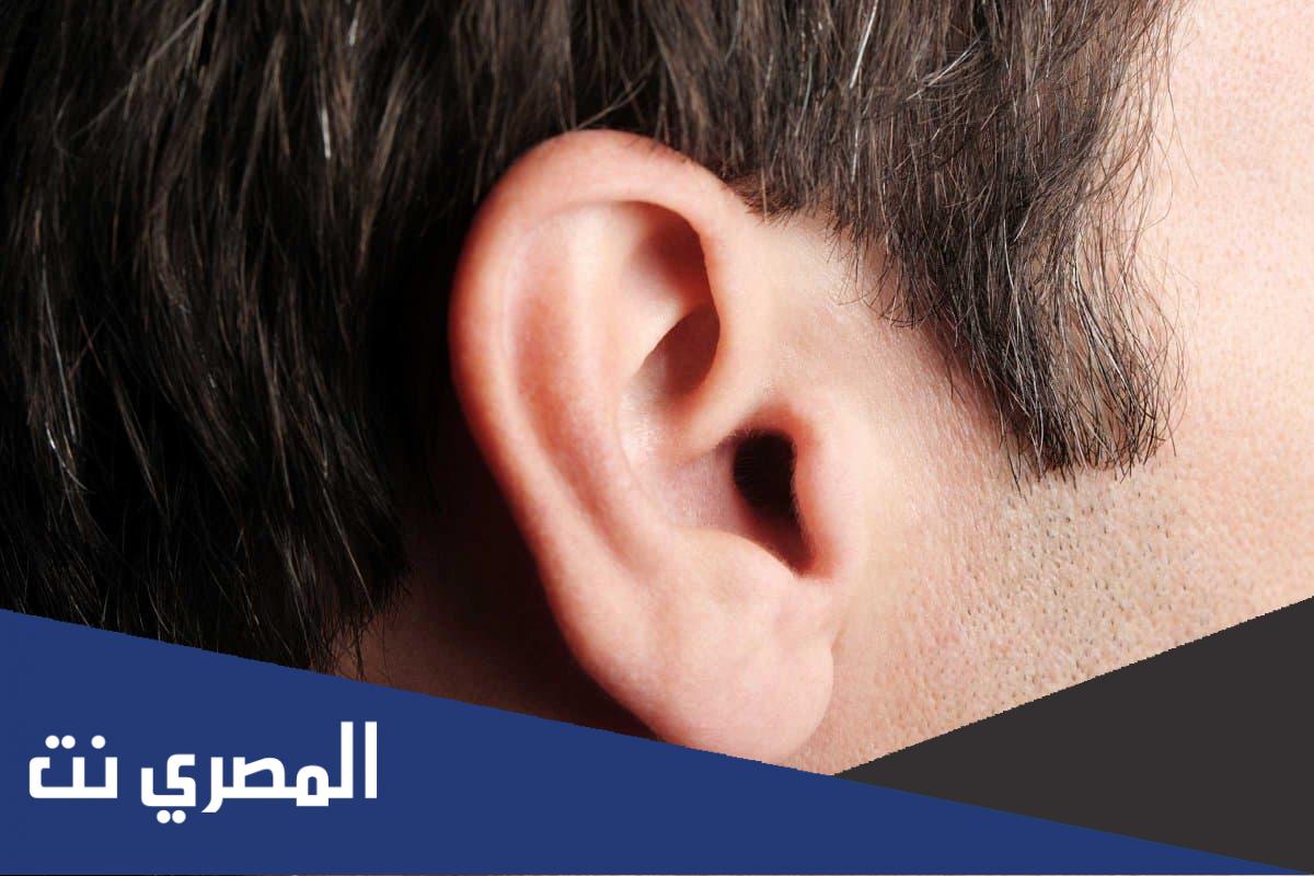 من المسؤول عن حفظ التوازن في الاذن