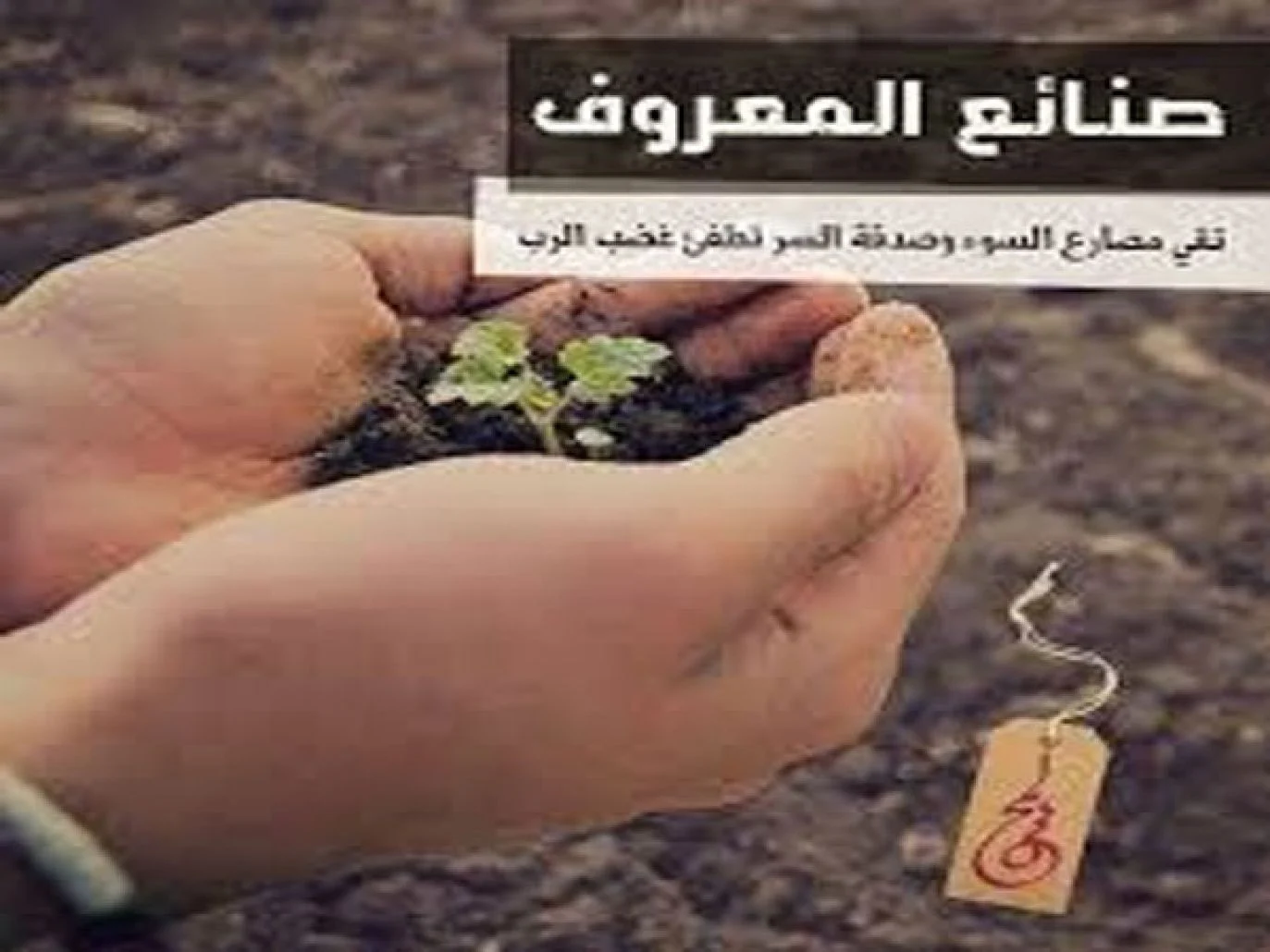 صنائع المعروف تقي مصارع السوء وصدقة السر