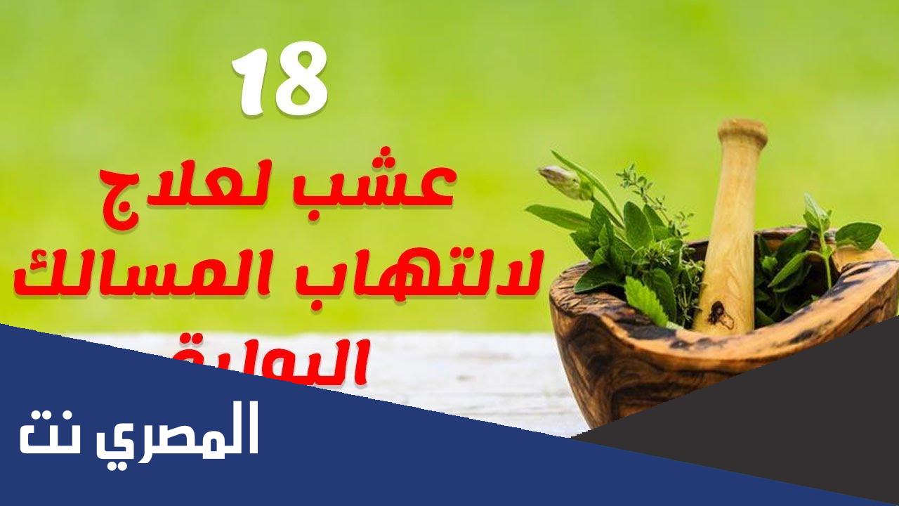 علاج التهاب المسالك البولية