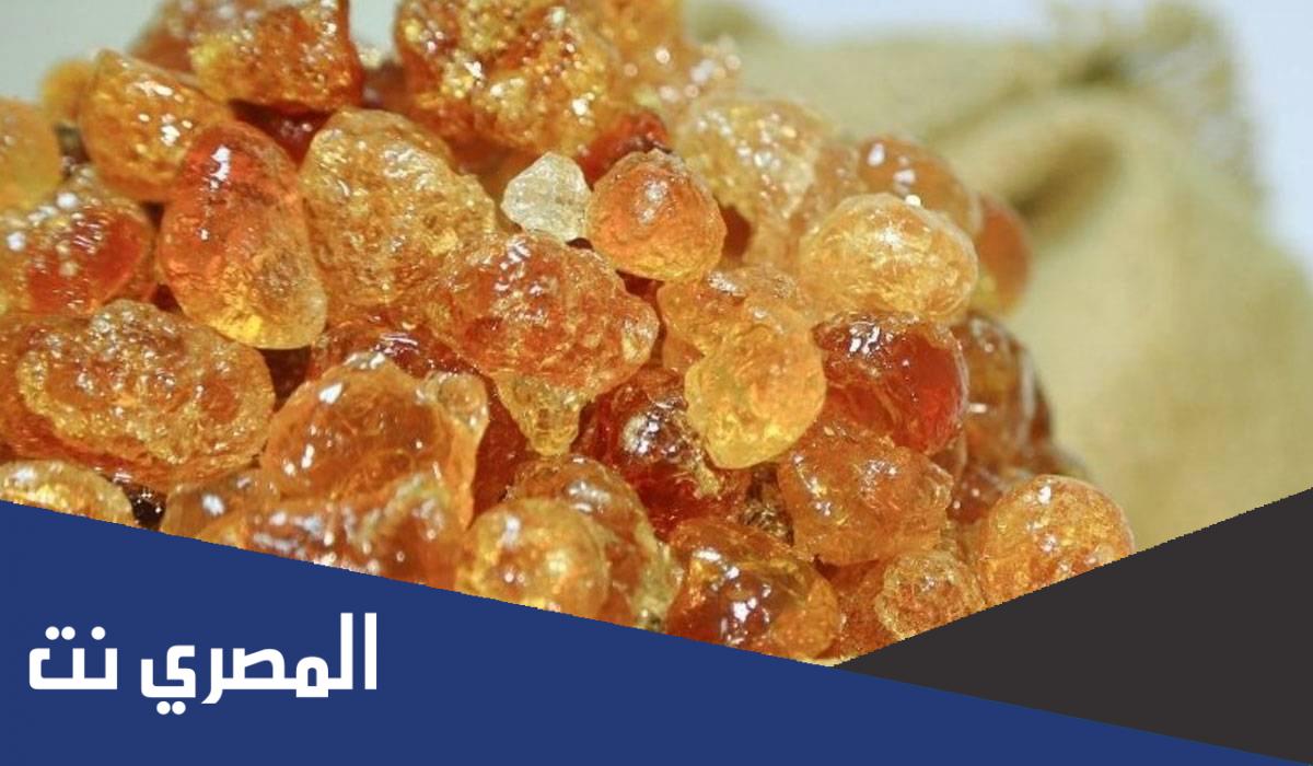 اين ينمو الصمغ العربي