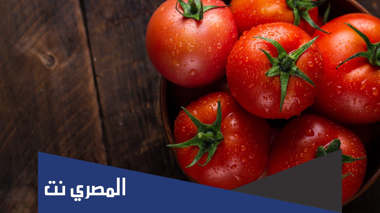 هل الطماطم فاكهة ام خضار
