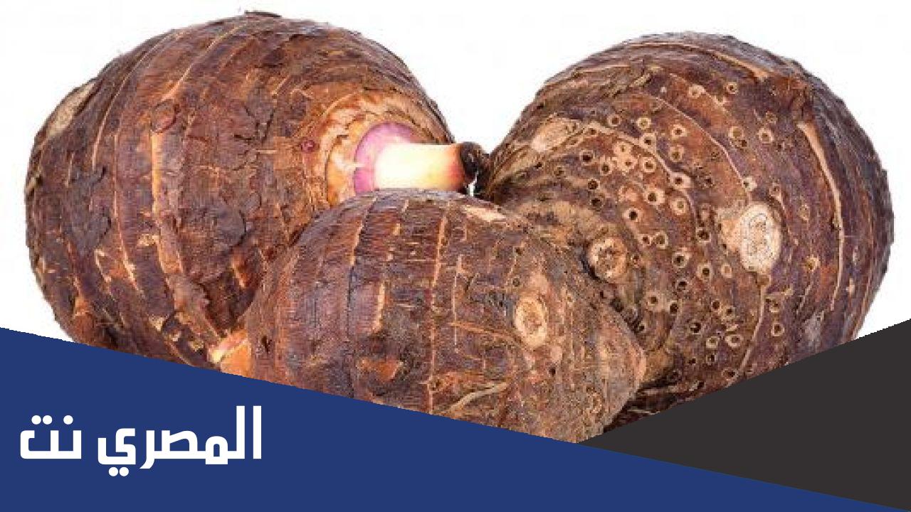فوائد القلقاس للعظام والكلى