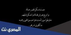 كلمات اغنية قصر حبك اصيل