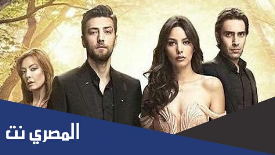 كم عدد حلقات مسلسل الحلم كاملة