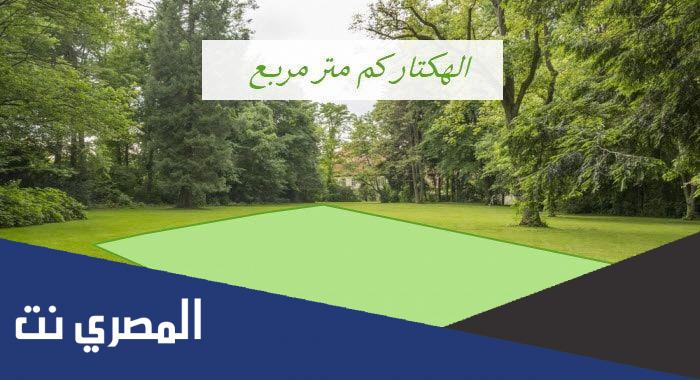 هكتار كم يساوي من متر ؟