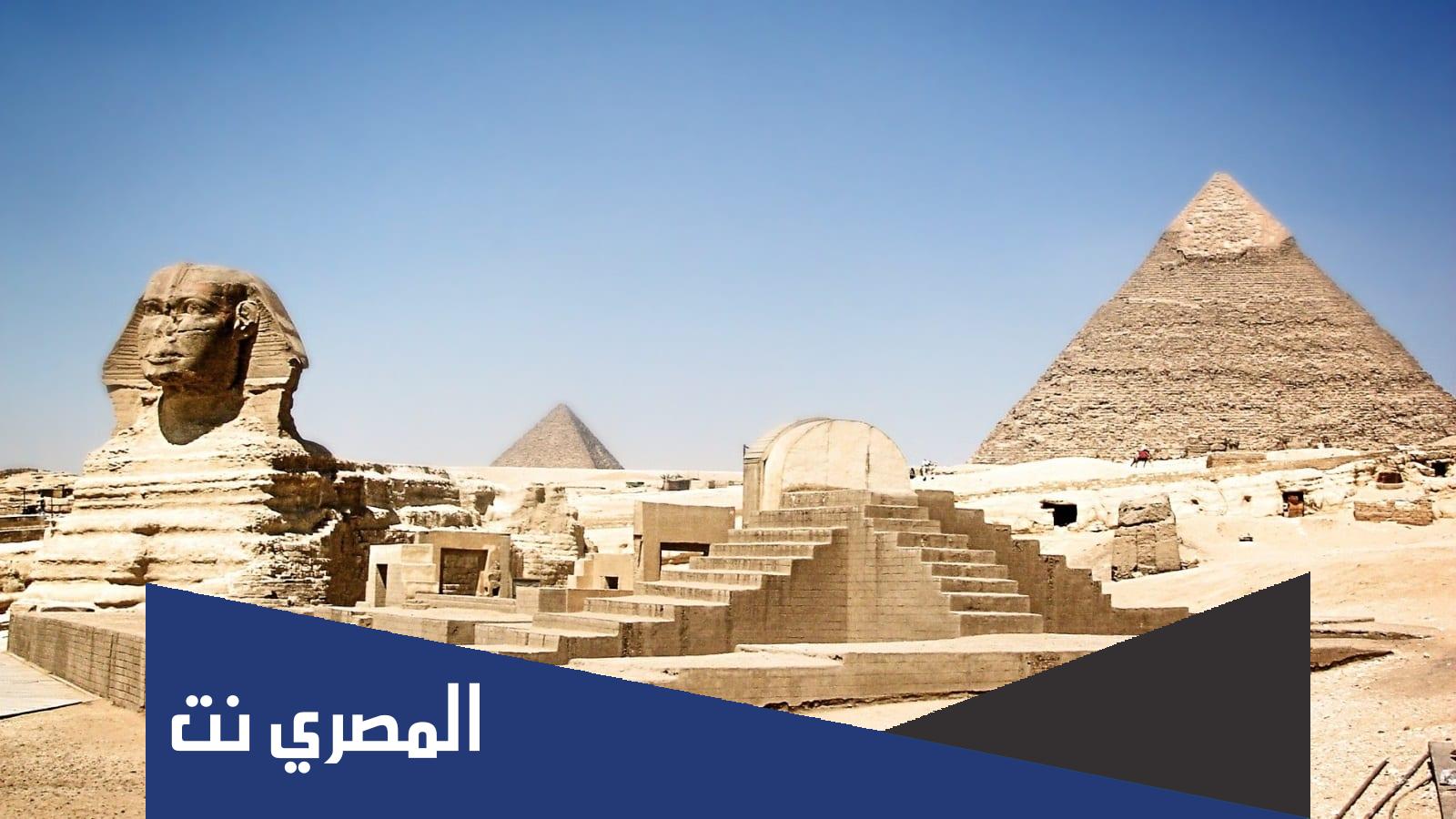 معنى كلمة سيمب بالمصري
