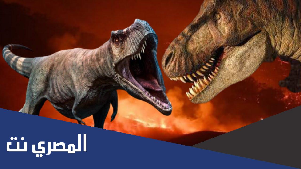 لماذا انقرضت الديناصورات من على كوكبنا