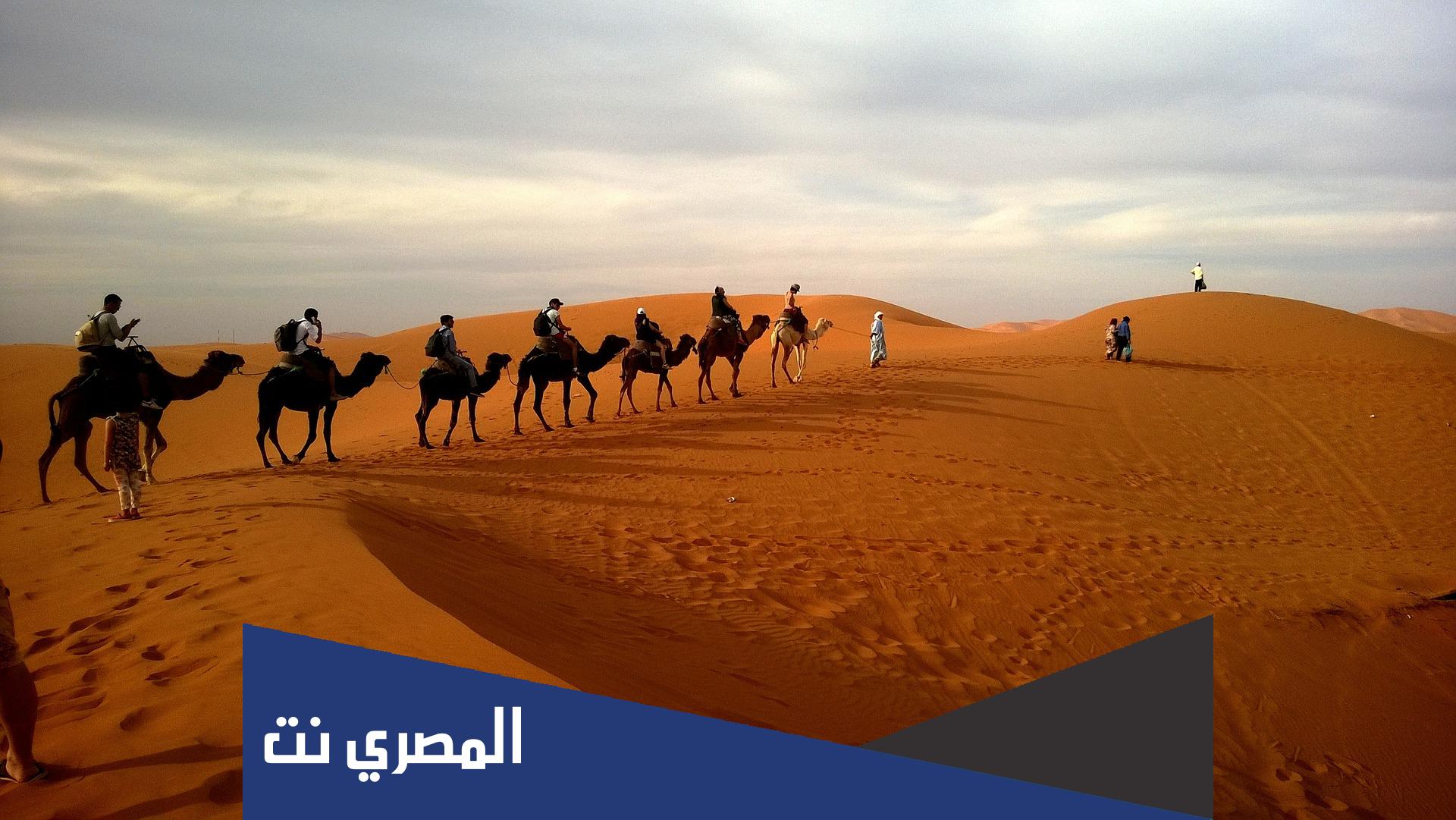 لماذا سميت معركة الجمل بهذا الاسم