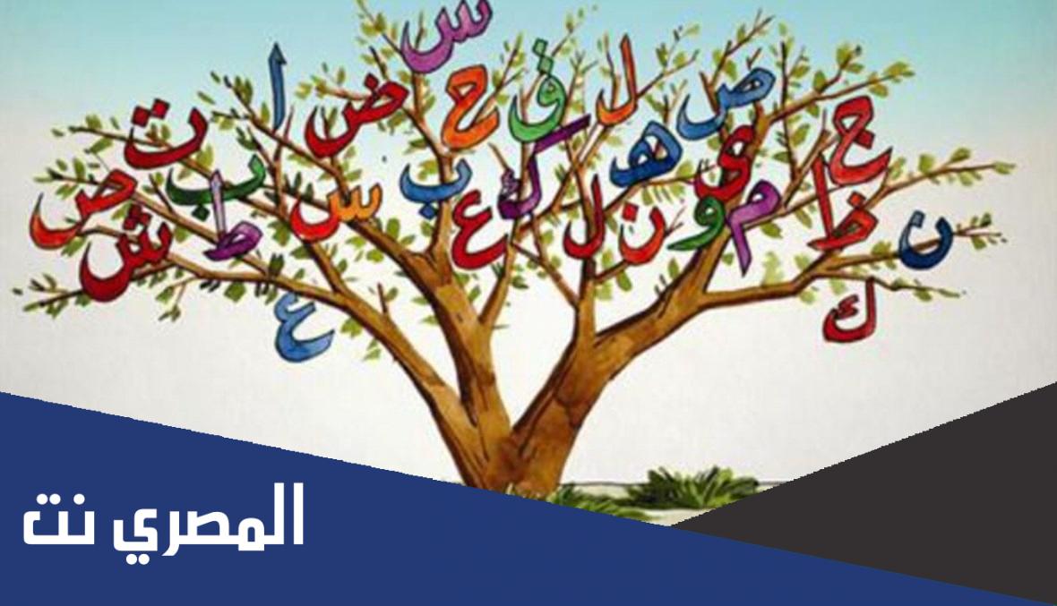 ما معنى المشارب في اللغة العربية