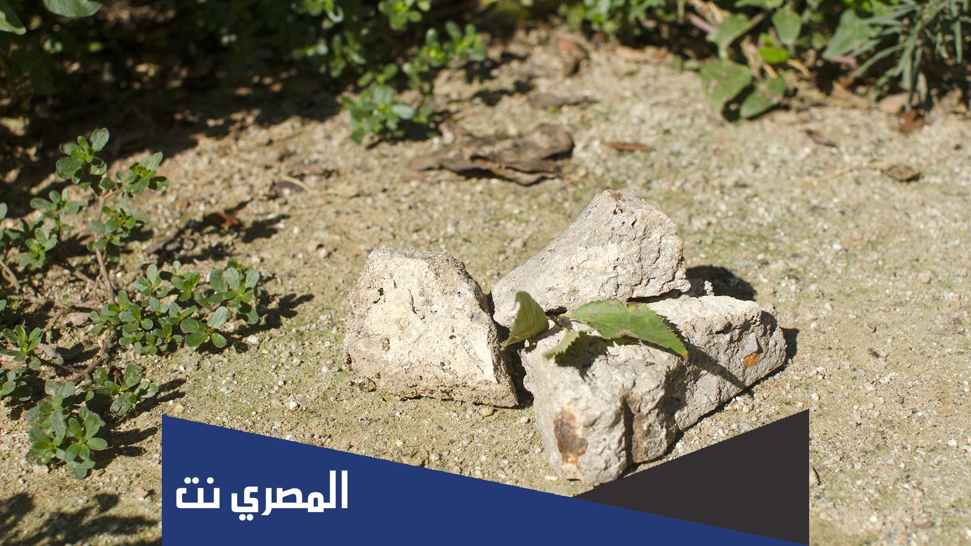 ما معنى كبسولة زمنية