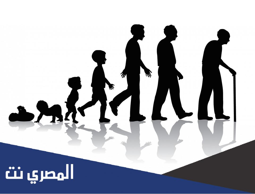 ما هو العقد الرابع من القرن العشرين