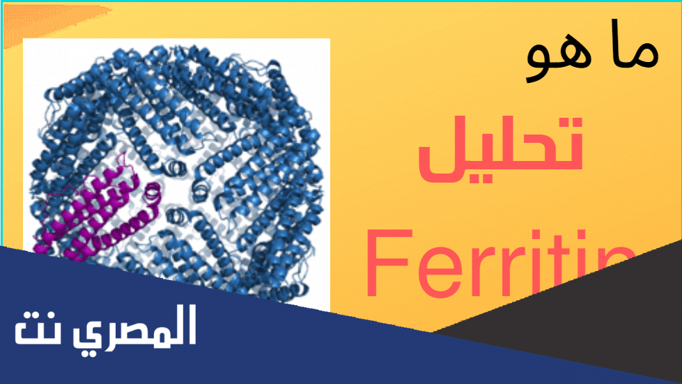 ما هو تحليل ferritin وعلاقته بالكورونا