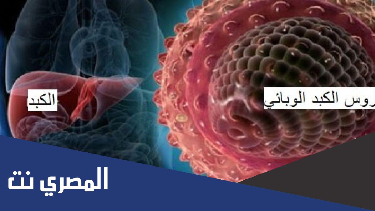 ما هو فيروس الكبد ب