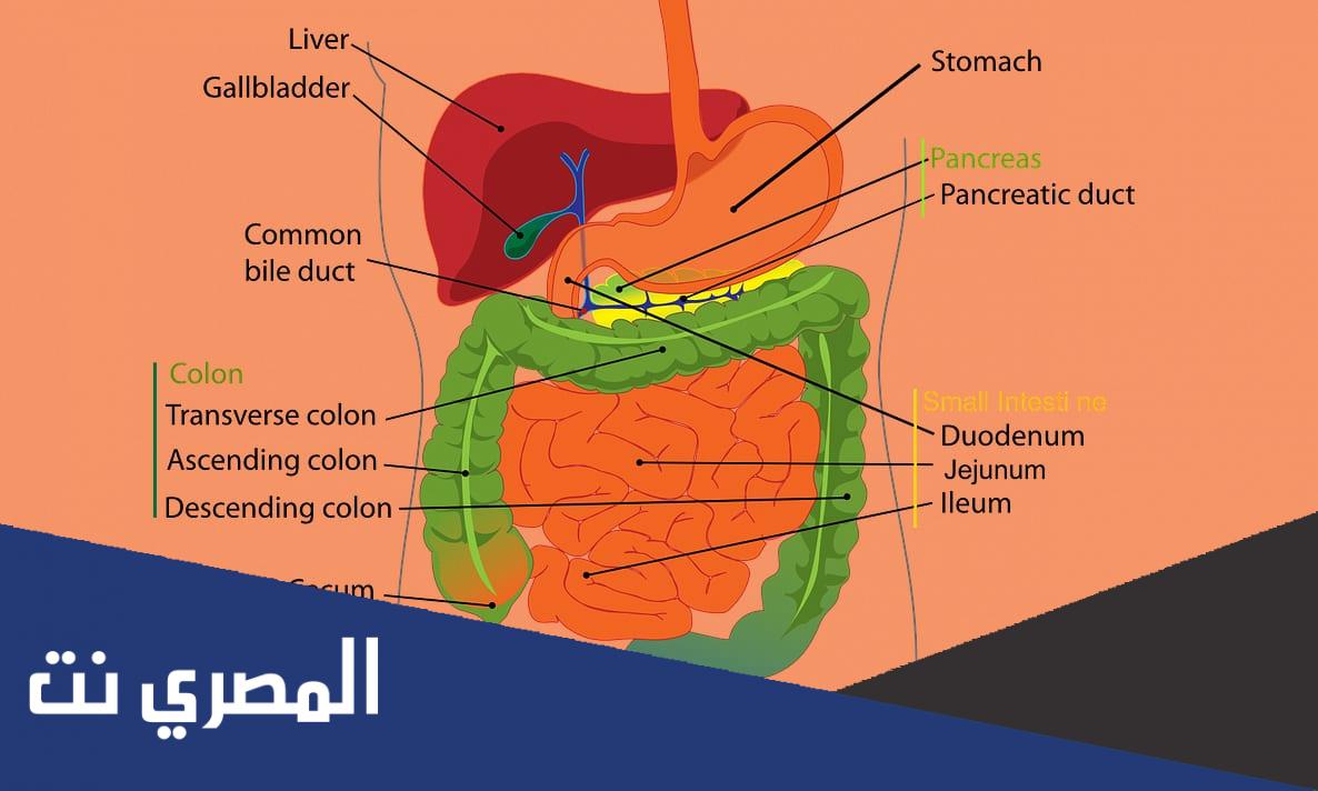 ما هو مرض الكرونز التقرحي