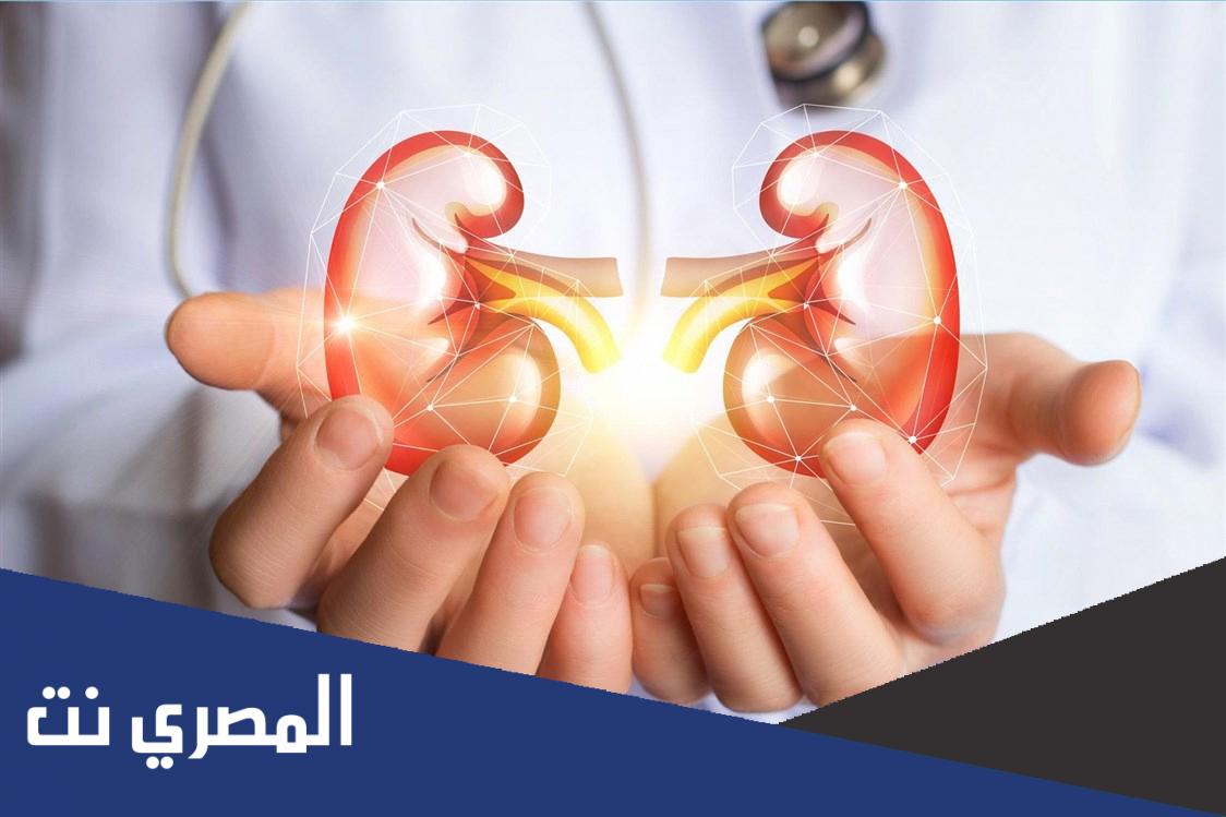 ماذا يأكل مرضى الكلى ؟