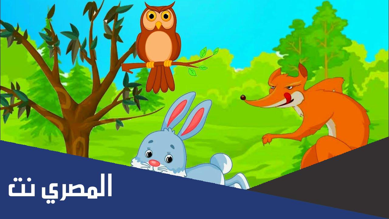 ماذا يسمى بيت الأرنب والثعلب