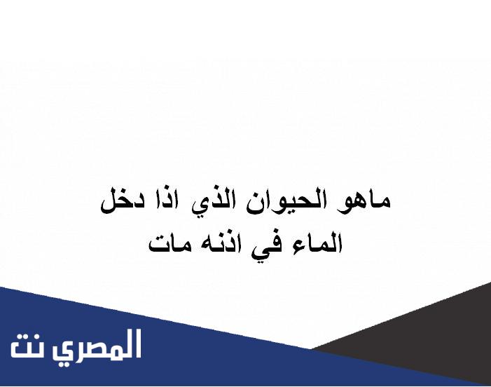 ماهو الحيوان الذي اذا دخل الماء في اذنه مات