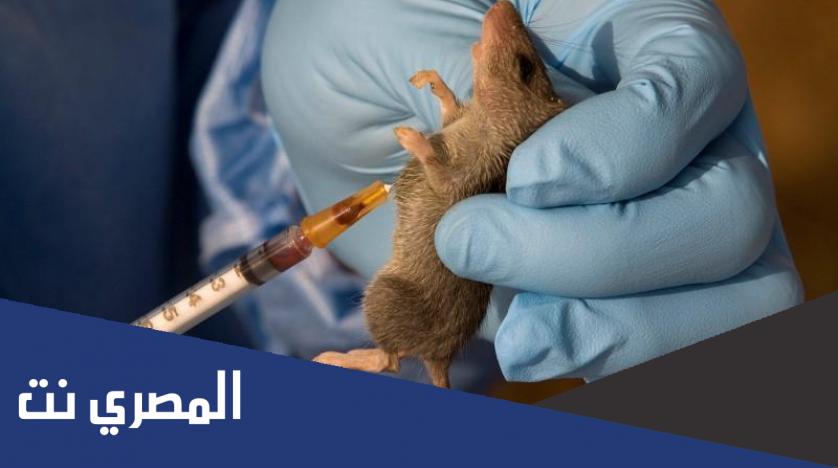 ماهي حمي لاسا واعراضها