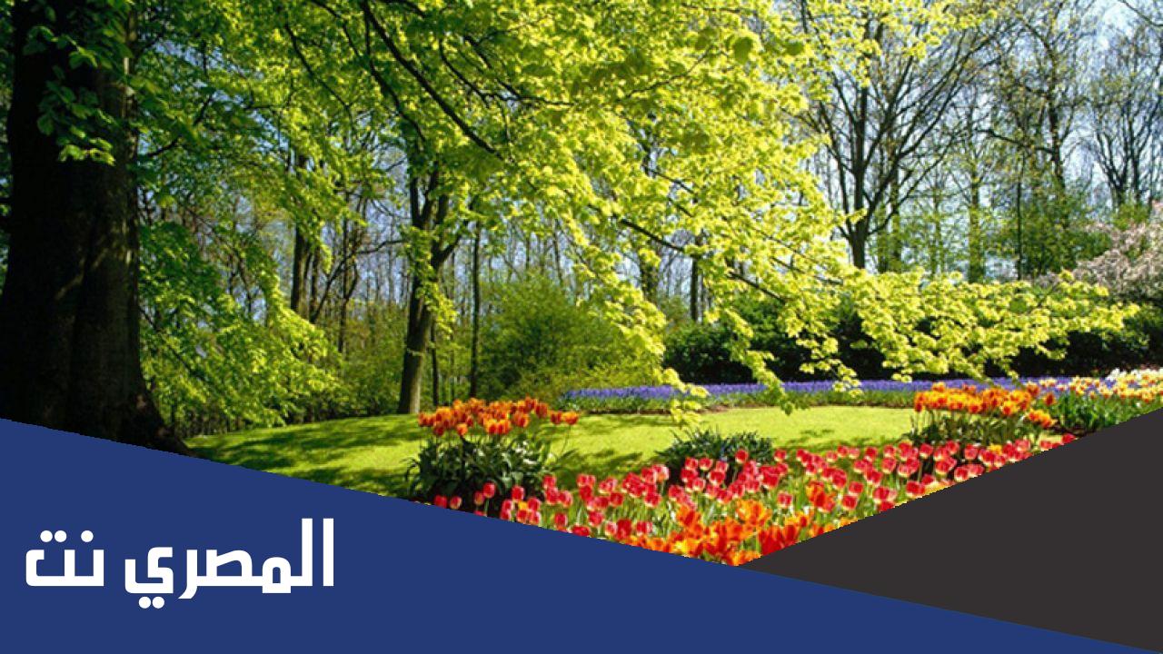 متى يبدأ فصل الربيع 2022 في مصر