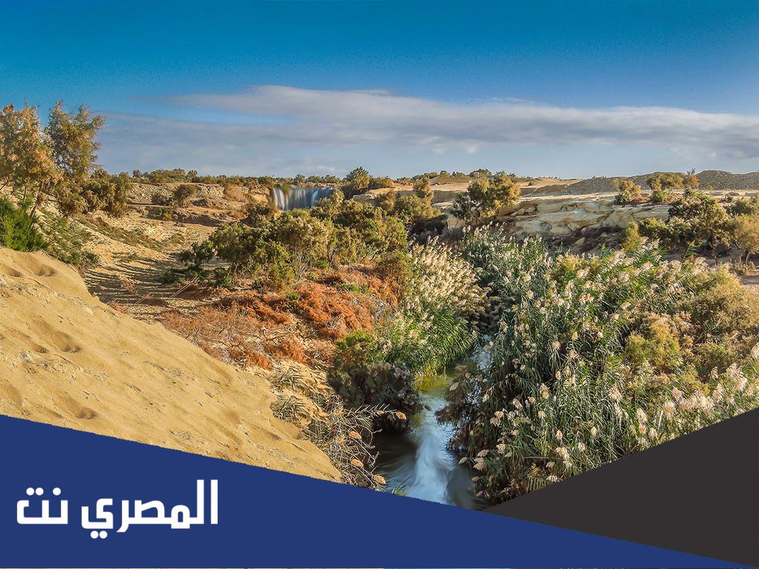معلومات عن وادي الريان بالفيوم